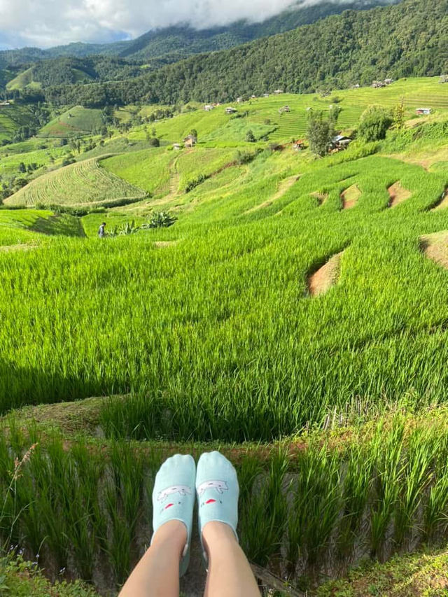 สายหมอกจางๆ ณ บ้านระเบียงนา 🌾