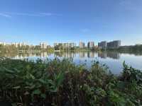 Wandering Through Stillness: A Solo Day at the Chinese and Japanese Gardens in Singapore