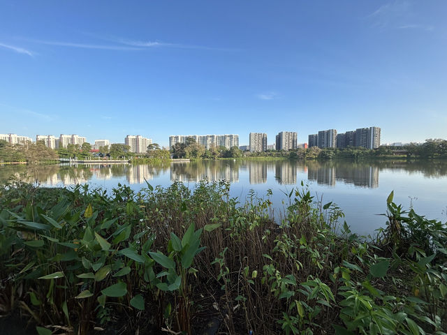 Wandering Through Stillness: A Solo Day at the Chinese and Japanese Gardens in Singapore