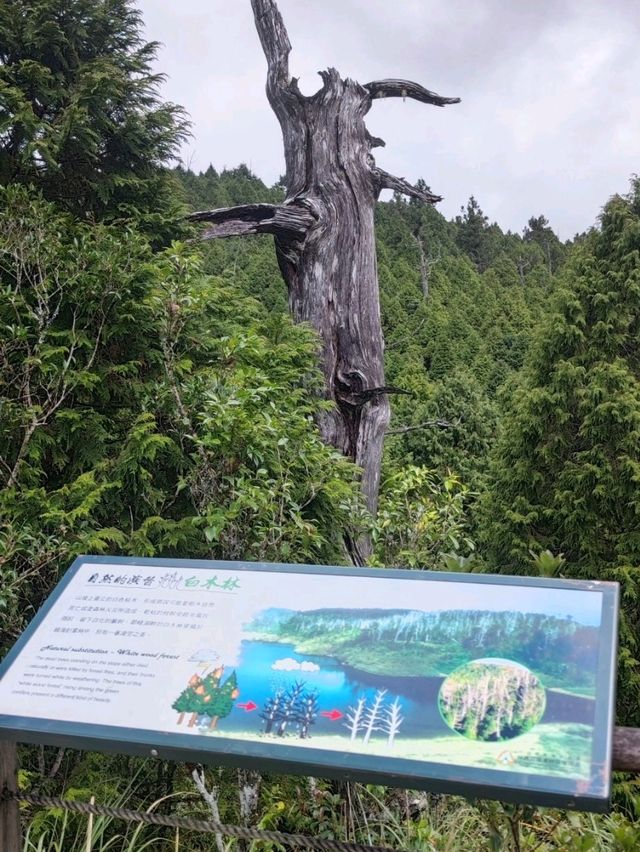 #翠峰湖-宜蘭縣大同鄉