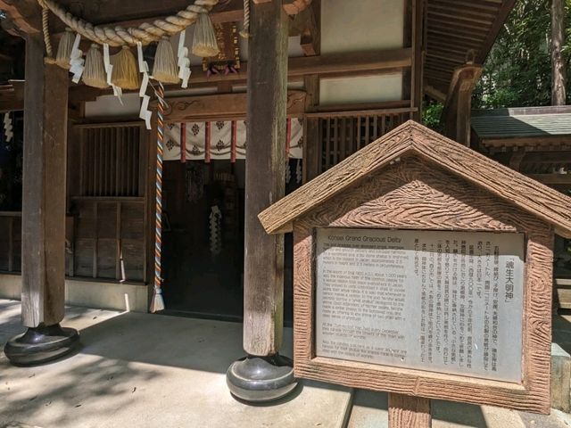【千葉】日本一の男根像をお祀りする魂生大明神