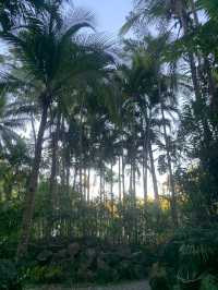 🇵🇭Holistic Sanctuary at The Farm at San Benito💙Must do! 