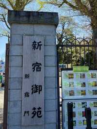🌸新宿御苑でのんびり自然散歩タイム🍃