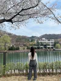 청주 자연 속 힐링 산책 코스, 명암 유원지🤍🍀
