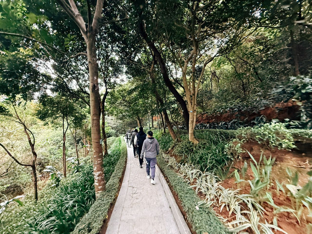 🏞️澳門隱藏版親子祕境！石排灣郊野公園一日遊攻略🐼