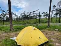 ภูสอยดาว สวรรค์ของนักเดินป่า! 🏕️🌸⛰️🏞️✨ 