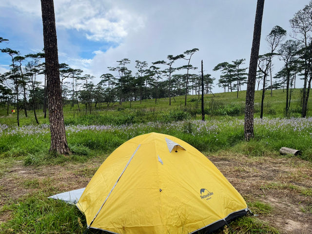 ภูสอยดาว สวรรค์ของนักเดินป่า! 🏕️🌸⛰️🏞️✨ 