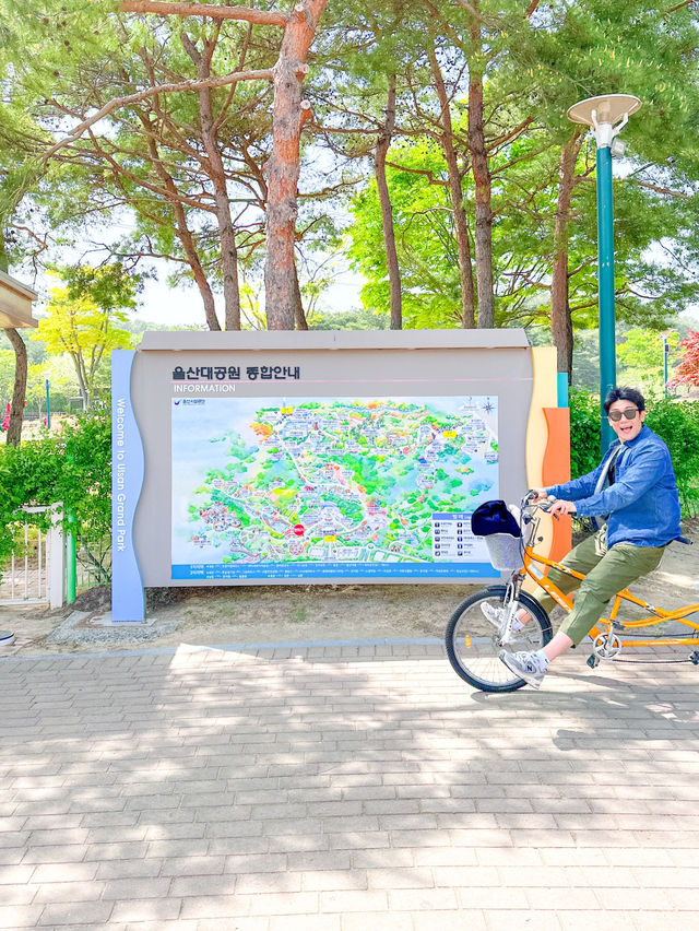 테라스의 계절 울산대공원 지관서가 어때요