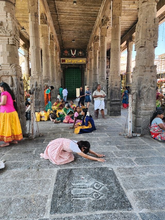 【チェンナイ/インド】パルタサラティ寺院