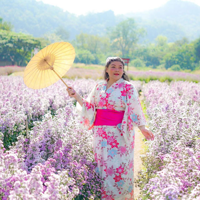 ถ่ายรูปวิวญี่ปุ่นเขาใหญ่กัน