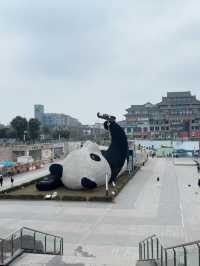ไปถ่ายรูปกับ Selfie panda ที่ Dujiangyan กันเถอะ