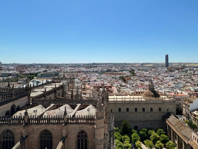 充滿熱情的塞維利亞❤️‍🔥🇪🇸