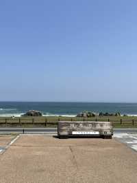 【青森×種差海岸】芝生が美しい海岸