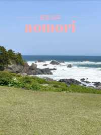 【青森×種差海岸】芝生が美しい海岸