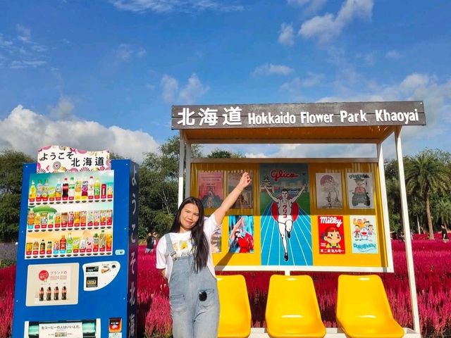 Hokkaido Flower Park Khaoyai