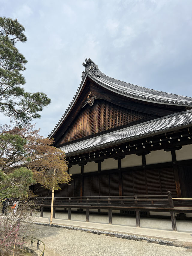 🍃 교토 텐류지(天龍寺), 마음까지 맑아지는 순간 🌸