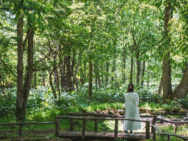 Furano in Full Bloom: Discover the Magic of Kaze no Garden