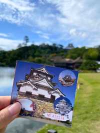 ひこにゃんで有名なお城🏯国宝 彦根城に行ってきた！