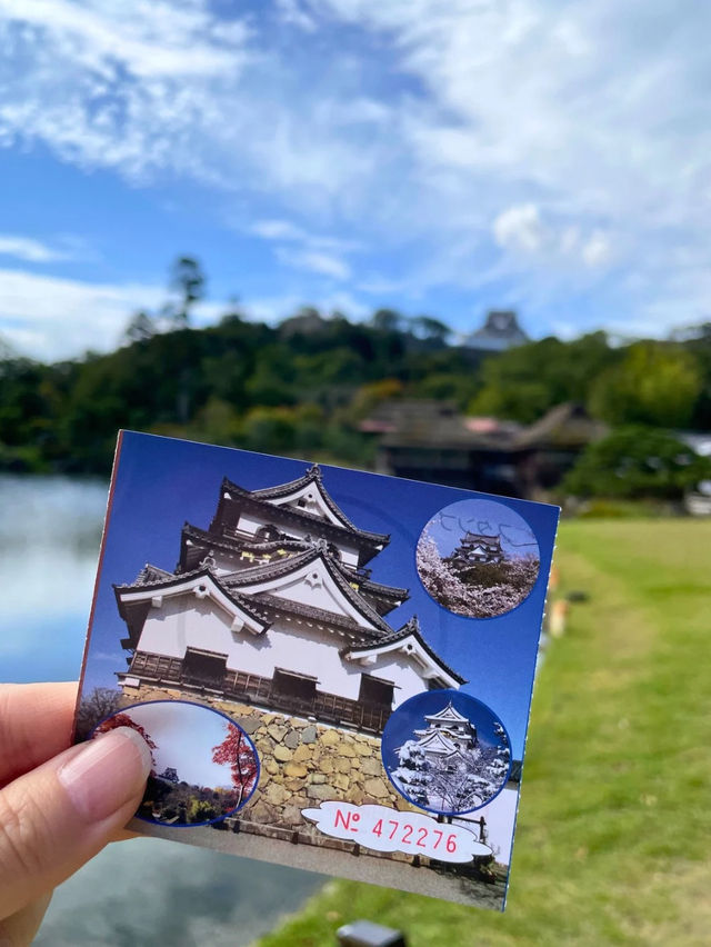ひこにゃんで有名なお城🏯国宝 彦根城に行ってきた！