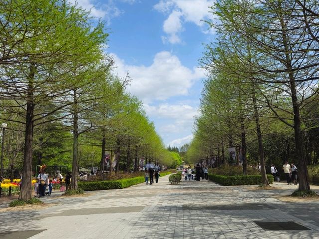 봄의 꽃구경은 전주동물원