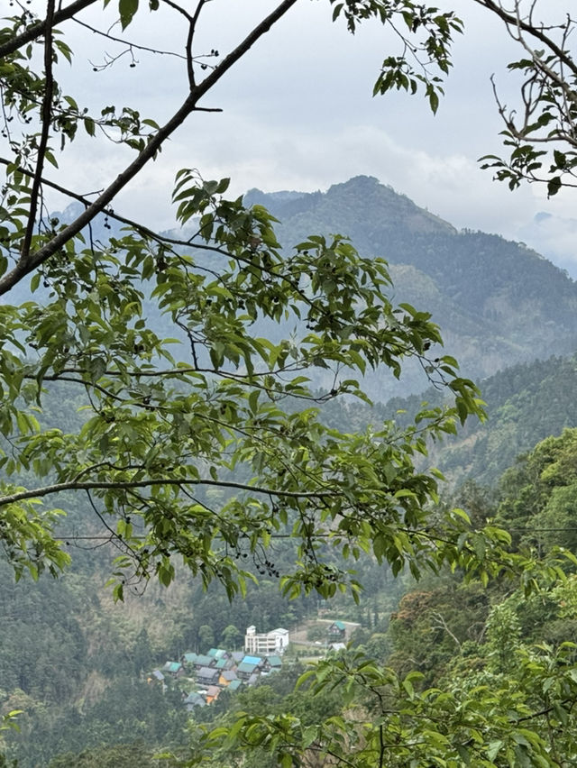 走讀阿里山林道鐵路的百年風華～奮起湖站到十字路站