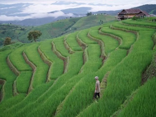 นาขั้นบันไดของไทยที่สวยงามไม่แพ้ที่ไหน