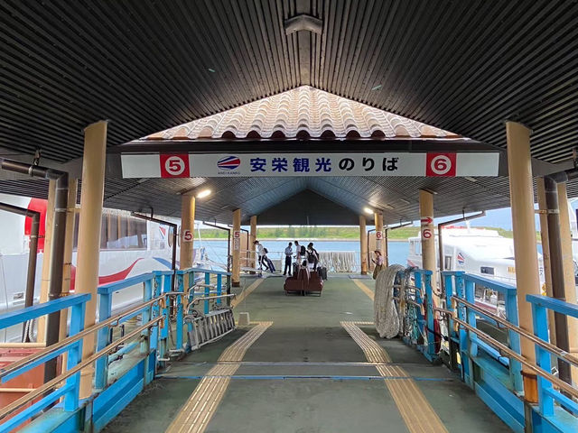 【石垣島】石垣島に来たなら外せない🥤✨
