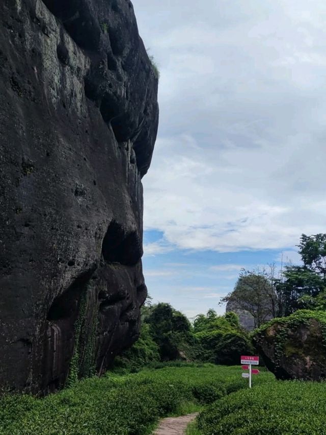 武夷山風景區-走到腿兒會發抖的虎嘯岩+大王峰