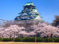 Osaka Castle Park Cherry Blossoms: A Fairytale in Pink