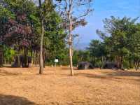 ผาหัวนาค ชัยภูมิ