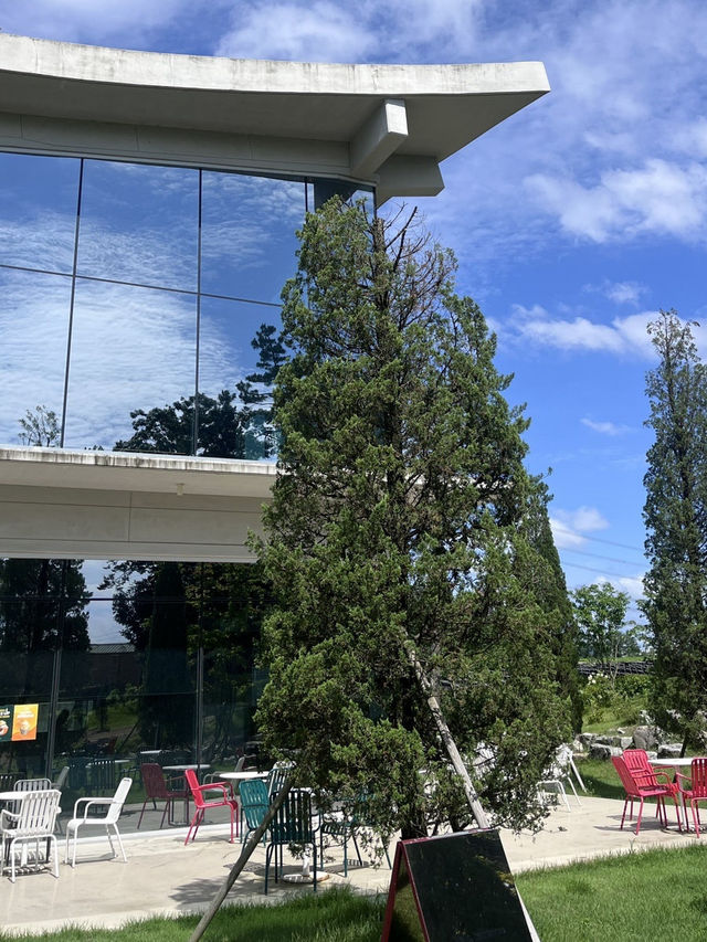 완주 대형카페, 창문너머 숲속뷰 감성🌳