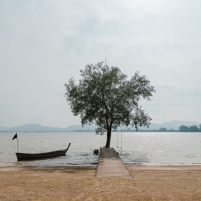 𝗧𝗵𝗲 𝗠𝗮𝗻𝗴𝗿𝗼𝘃𝗲 𝗯𝘆 𝗕𝗹𝘂 𝗠𝗼𝗻𝗸𝗲𝘆 🏞️