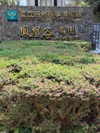 #鳳凰谷鳥園生態園區-南投縣鹿谷鄉
