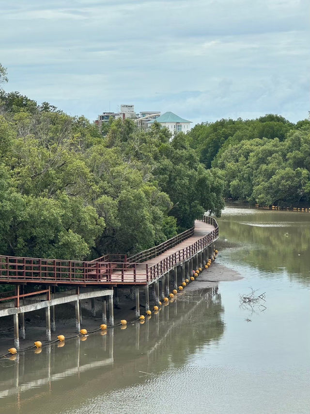 เดินป่าชายเลนชมเจดีย์กลางน้ำ ใจกลางเมืองระยอง