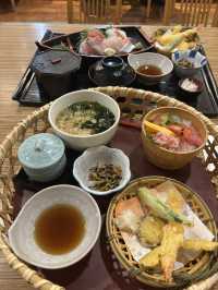 鹿兒島四日快閃追櫻