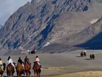 Nubra Valley - Leh Ladakh 🇮🇳🥰🐪🐫