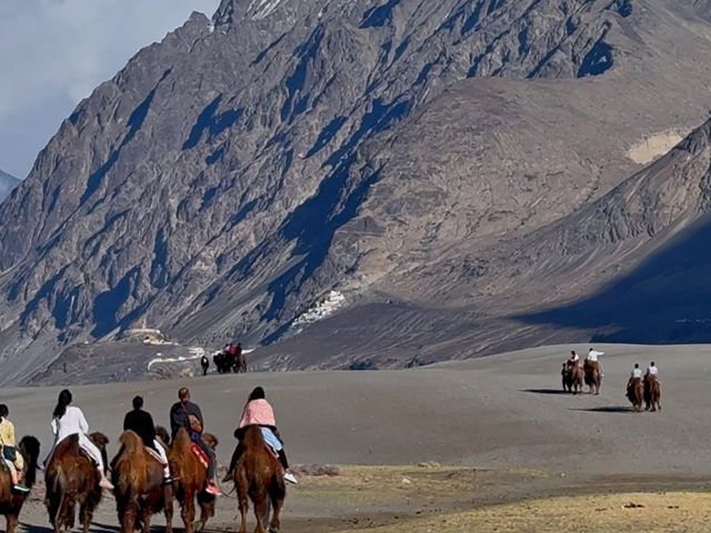 Nubra Valley - Leh Ladakh 🇮🇳🥰🐪🐫