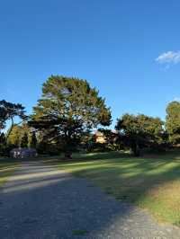 NZ “walk”-venture 01