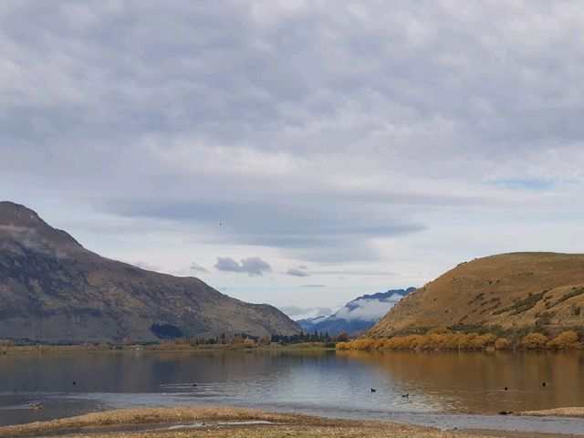Lake Hayes, a small lake in the Lake Wakatipu Basin.