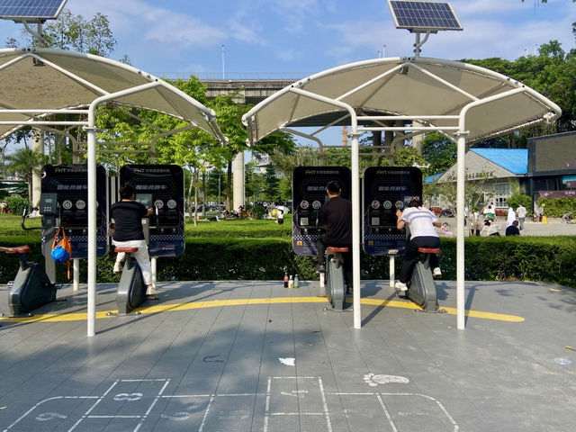 城市中的⛰️陽台山森林公園✨體驗自然風光行程推薦🏞️ 