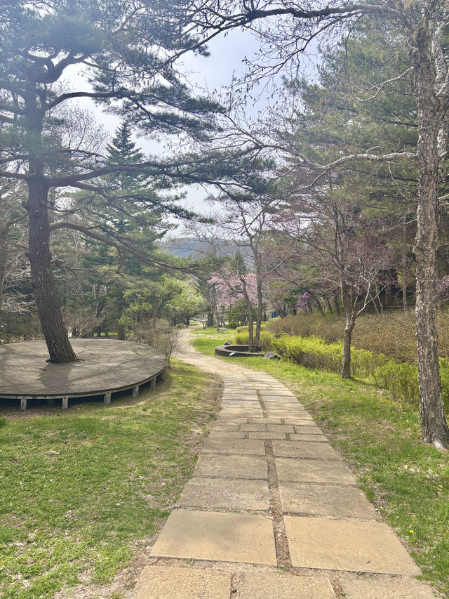 마음의 평화가 필요할 때 찾게되는 평창 목장💛
