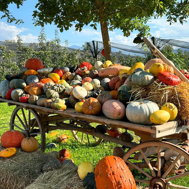A Rustic Autumn Escape: My Visit to Junker Farm in Jona