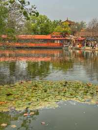 Spring Reflections in the City: A Stroll Through Kunming’s Green Lake Park