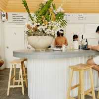 Escape into Flavor at Asylum Coffee