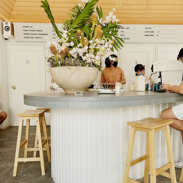 Escape into Flavor at Asylum Coffee