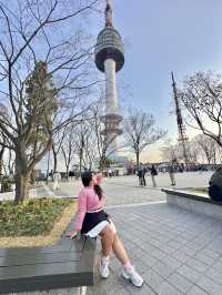 Chasing Sakura at N Seoul Tower