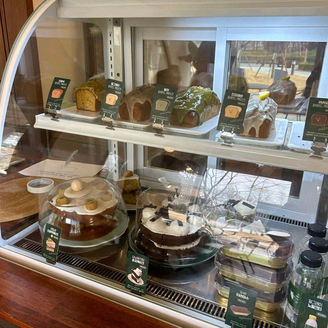 비건 맛집😍🍑인천 송도 카페 지구본 