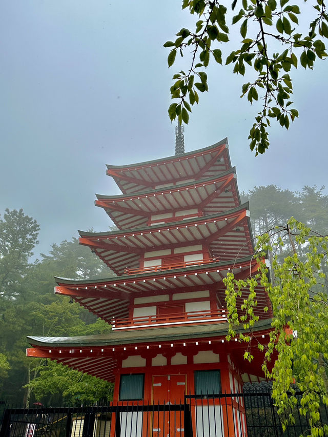 ☔️ **Rainy Day on the Fuji Tour** ☔️