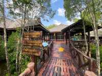 เที่ยวป่าชายเลน อุทยานแห่งชาติหมู่เกาะชุมพร 