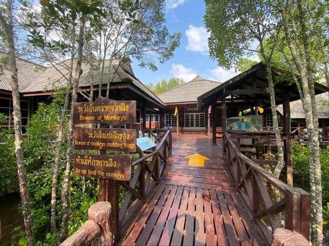 เที่ยวป่าชายเลน อุทยานแห่งชาติหมู่เกาะชุมพร 